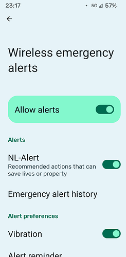 Wireless emergency alerts