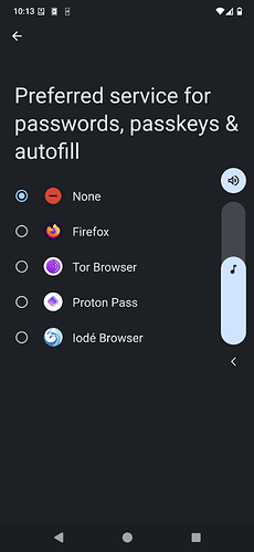 Screenshot_20250319-101322_Settings