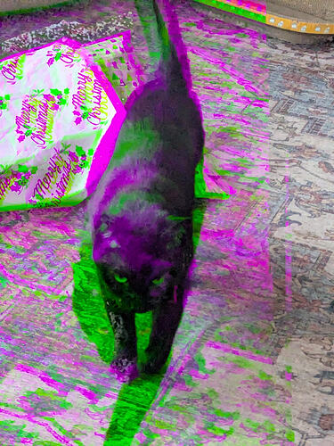 2026-03-08-17-36-50-371