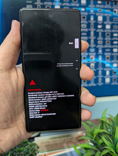 PXL_20251212_114429091.MP