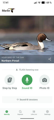 Screenshot_20260330-174113_Merlin Bird ID